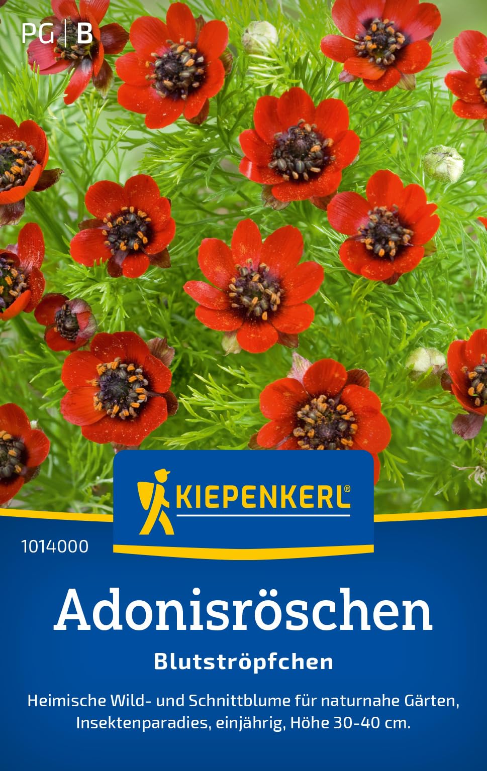 kiepenkerl-kalifornischer-goldmohn-mischung-blumensaatgut image 7