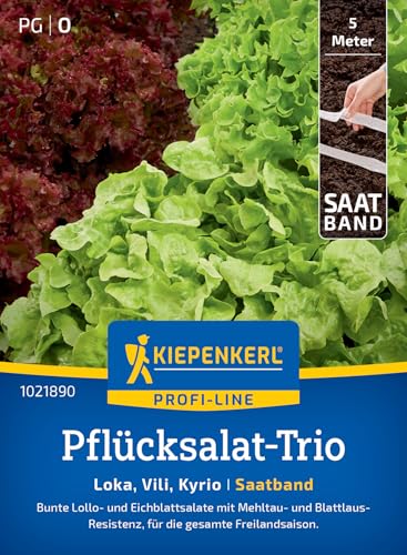 kiepenkerl-profi-line-pfl-cksalat-trio-loka-vili-kyrio-samen image 7