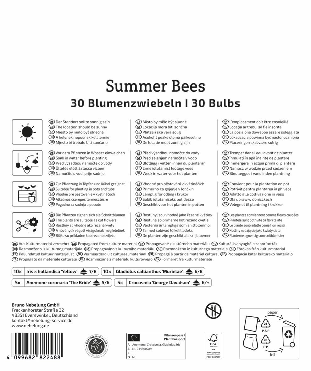 kiepenkerl-mega-pack-blumenzwiebelmischung-summer-bees-gelb-wei-e-bienenfreundli image 2