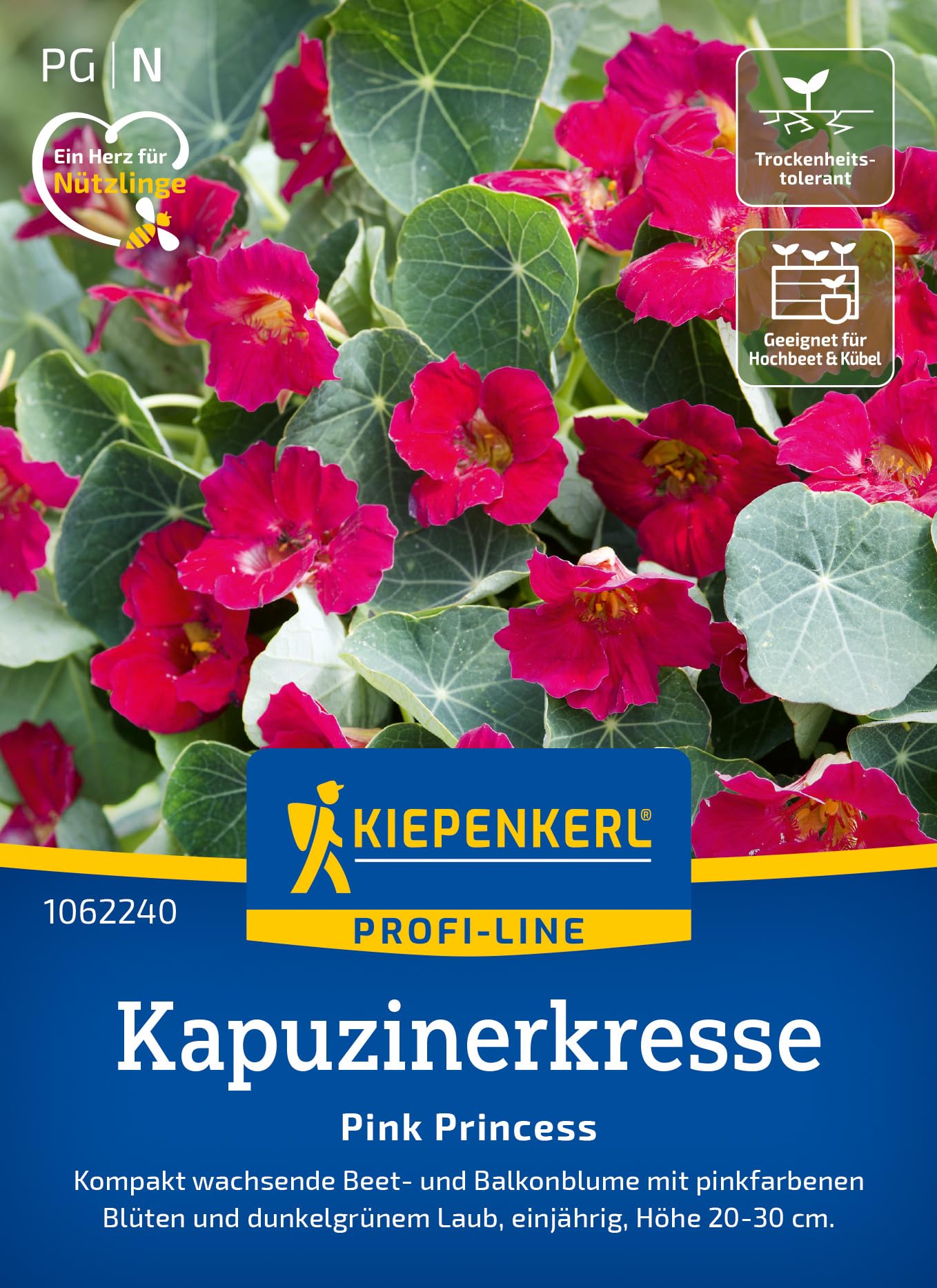 kiepenkerl-sonnenblumensamen-procut-white-nite-blumensaat image 6
