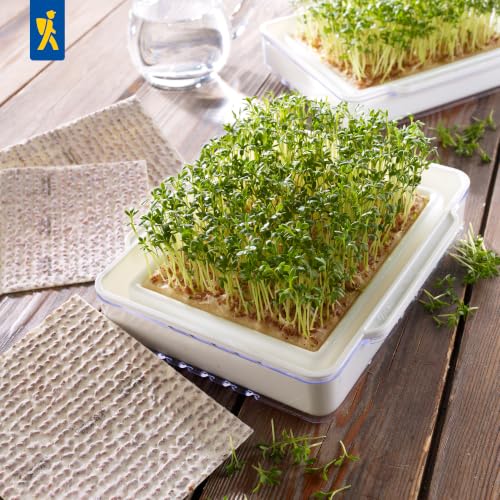 kiepenkerl-bio-microgreen-garden-anzuchtset image 8