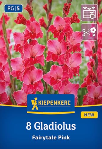 kiepenkerl-gladiole-fairytale-pink-blumenzwiebeln-120-cm-pink-schnittblume image 7