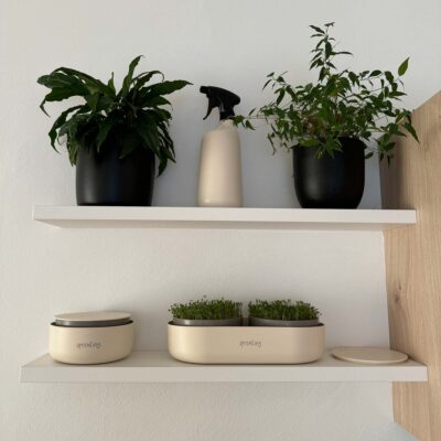 samen-maier-bio-sprossen-kresse-bio-microgreens-saatgut image 6