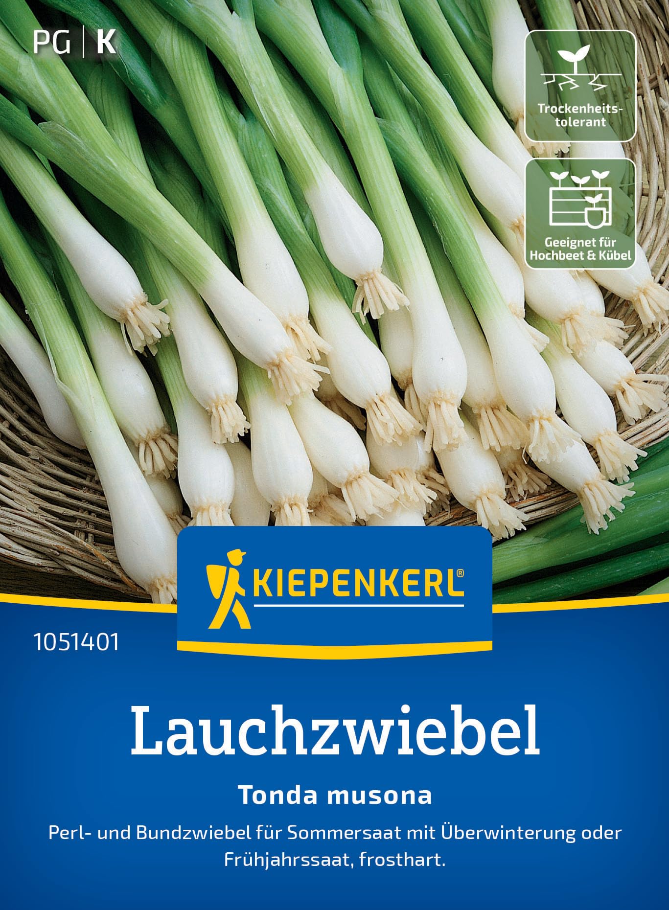 kiepenkerl-zwiebelsamen-exhibition-gem-sesaat-riesen-zwiebel image 8