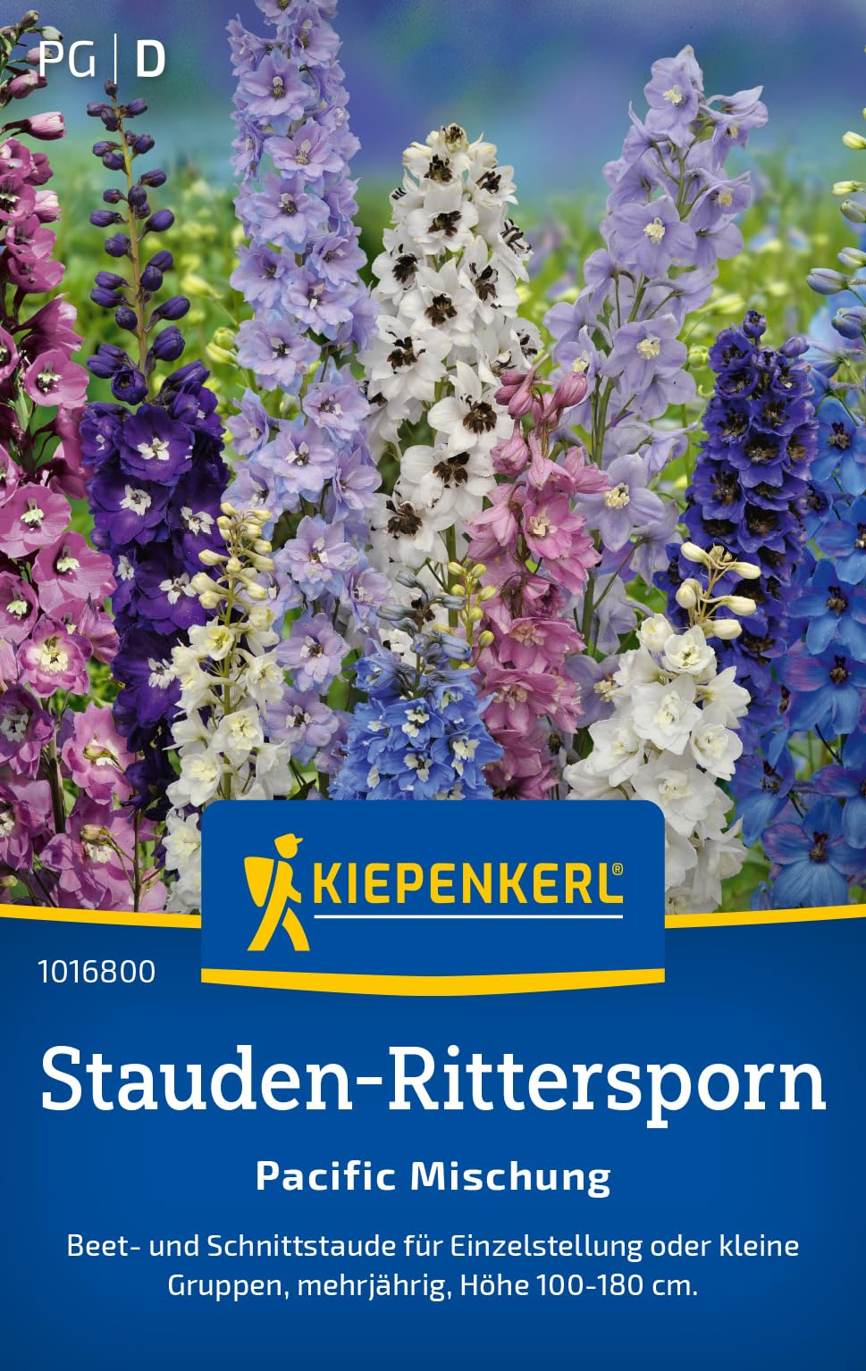 kiepenkerl-lavendel-echter-speik-1012850-kr-utersamen image 7