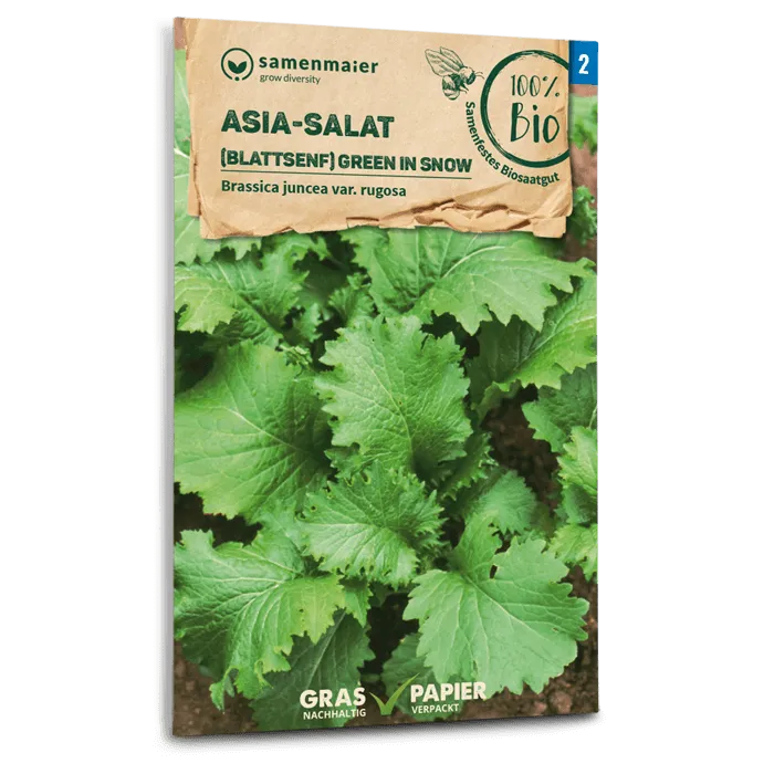 samen-maier-bio-asia-salat-green-in-snow-blattsenf-saatgut image 1