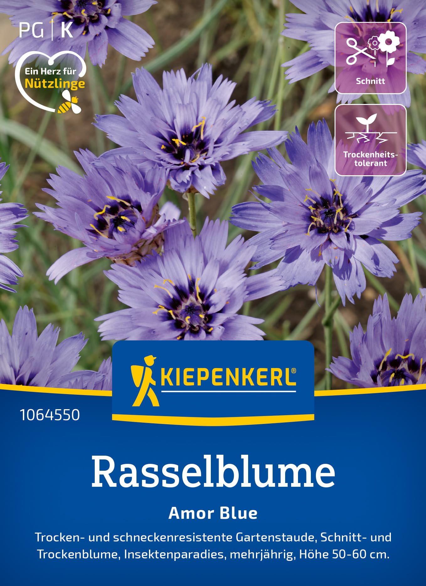 kiepenkerl-rasselblumensamen-amor-blue-blumensaat image 1
