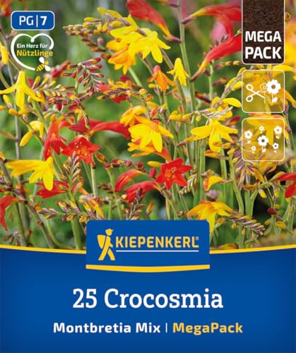 kiepenkerl-mega-pack-montbretien-mischung-blumenzwiebeln-rot-orange-60-cm image 7
