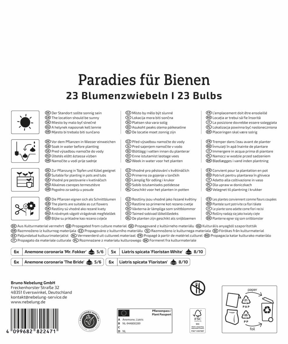 kiepenkerl-blumenzwiebelmischung-paradies-f-r-bienen-30-60-cm-sommerbl-her-mix image 2