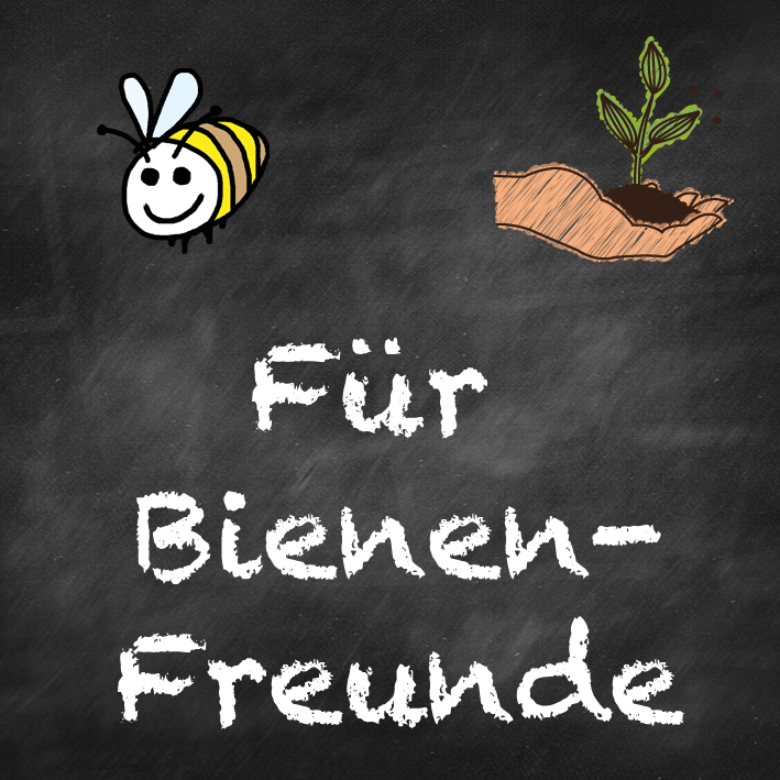 samen-maier-beet-box-f-r-bienen-freunde-bio-saatgut-set image 7