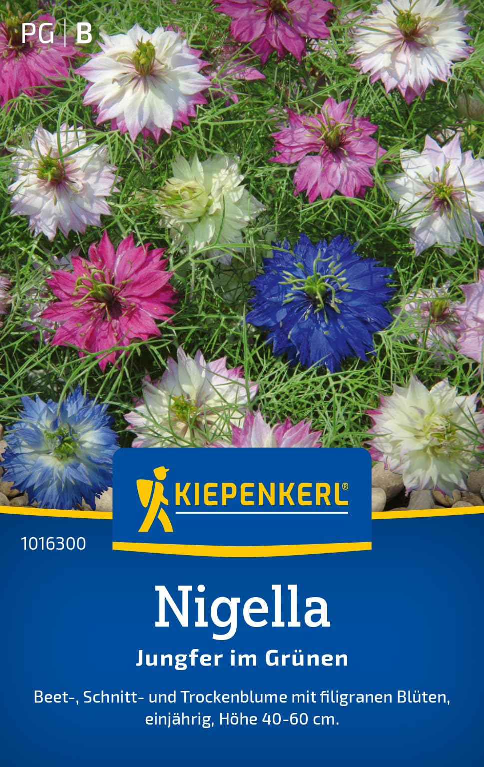 kiepenkerl-kalifornischer-goldmohn-mischung-blumensaatgut image 6