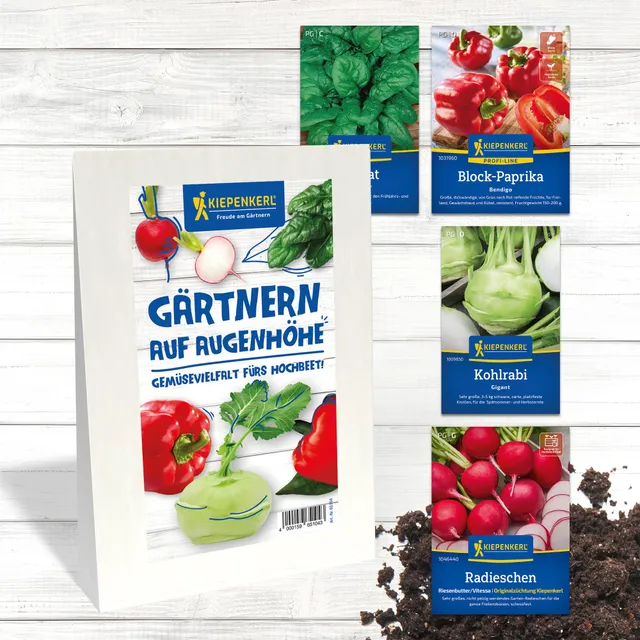kiepenkerl-saatgut-set-g-rtnern-auf-augenh-he-4er-gem-sesaat-f-rs-hochbeet image 1
