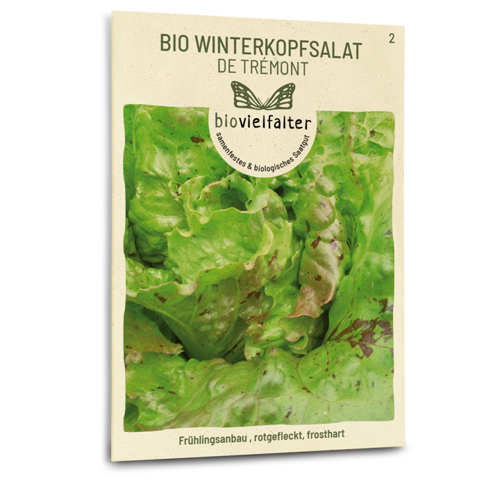 samen-maier-bio-winterkopfsalat-de-tr-mont-salat-saatgut image 1