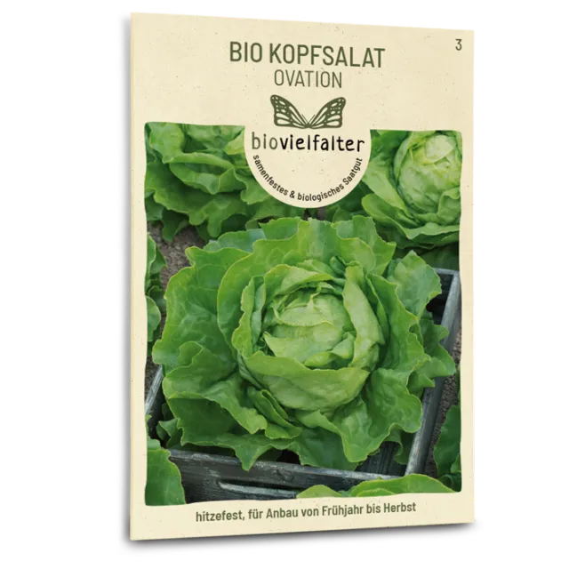 samen-maier-bio-kopfsalat-ovation-saatgut image 1