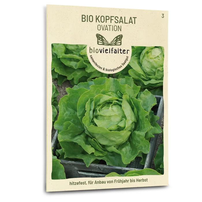 samen-maier-bio-kopfsalat-ovation-saatgut image 1