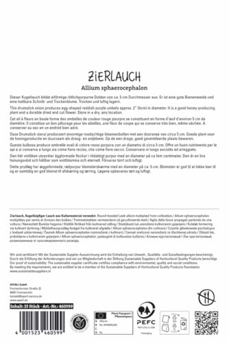 sperli-zierlauch-sphaerocephalon-blumenzwiebeln-purpur-kugelbl-te-60-cm-ab-juli image 8