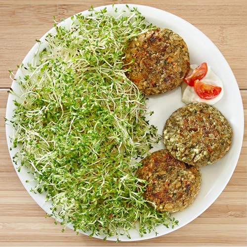 sperli-keimsprossen-saat-alfalfa-84920-keimsprossensaat-bio image 8