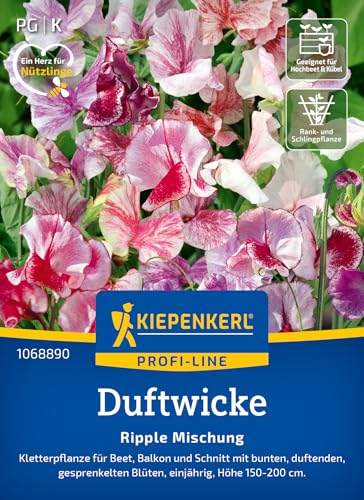 kiepenkerl-duftwickensamen-ripple-mischung-1068890-blumensaat image 7