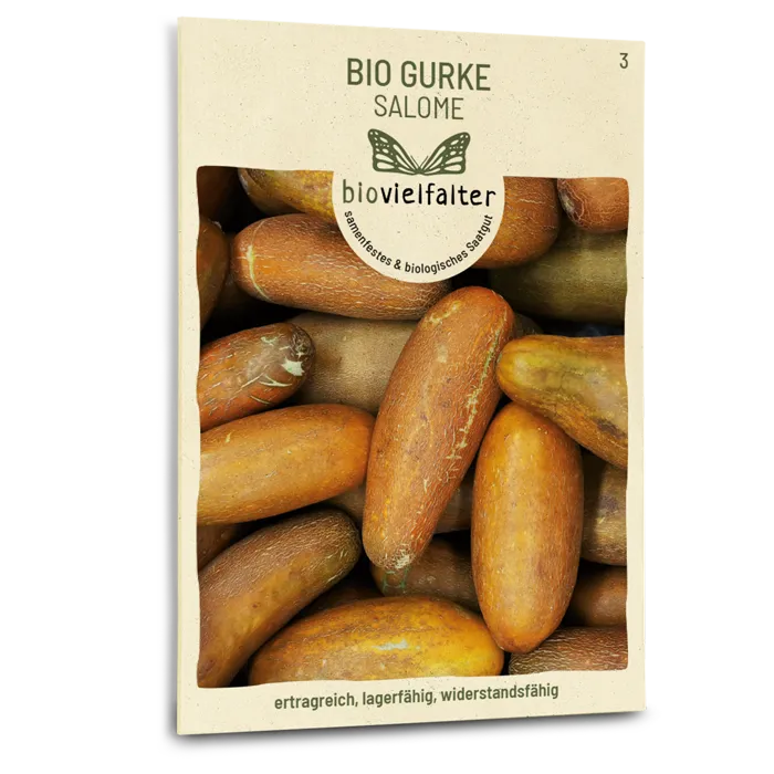 samen-maier-bio-gurke-salome-saatgut-freiland-gew-chshaus image 1