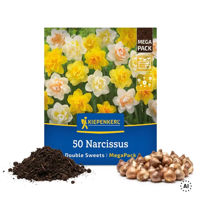 kiepenkerl-narzissen-double-sweets-mega-pack-blumenzwiebeln-gef-llt-f-r-50-pflan image 1