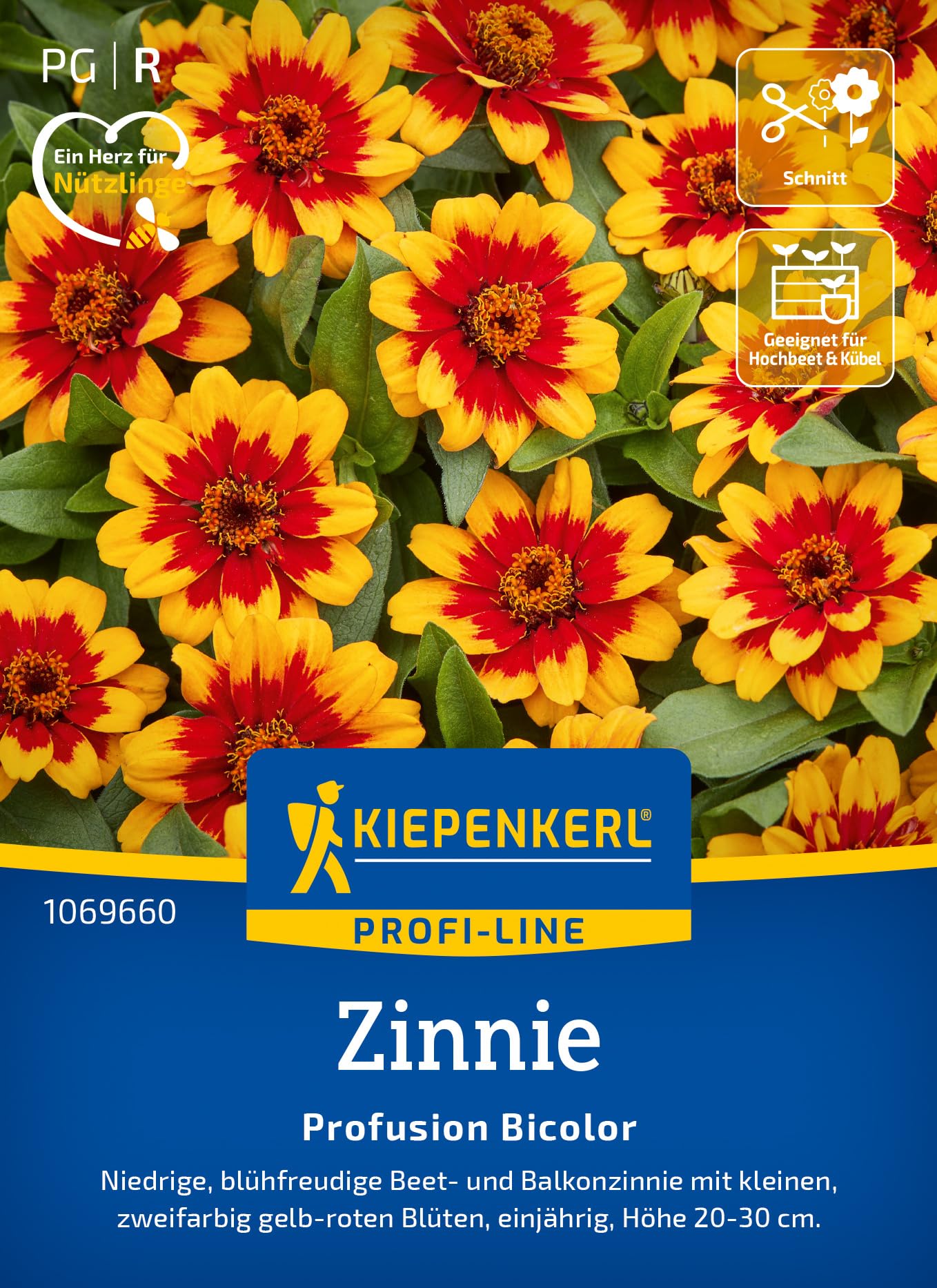 kiepenkerl-sommeraster-lady-coral-mischung-1060210-blumensamen image 7