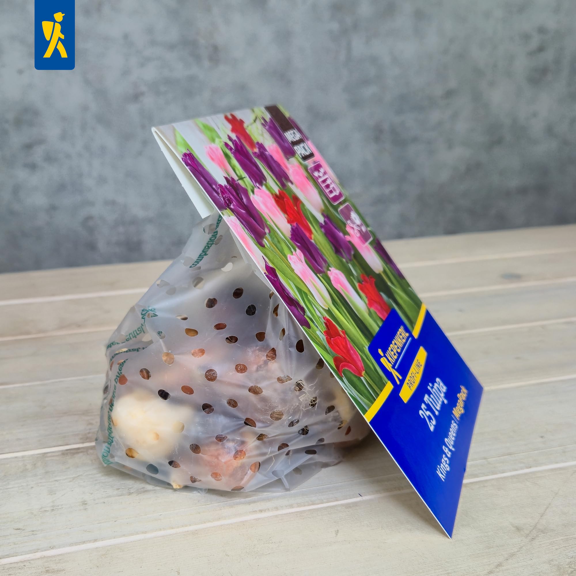 kiepenkerl-tulpenzwiebeln-kings-queens-mega-pack-25-zwiebeln image 3