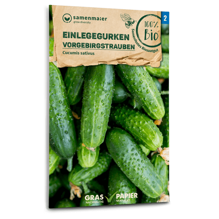 samen-maier-bio-einlegegurken-vorgebirgstrauben-saatgut image 1
