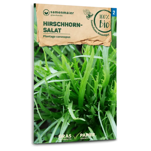 samen-maier-bio-hirschhornsalat-saatgut-f-r-freiland image 1