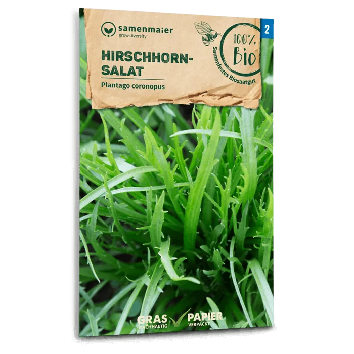 samen-maier-bio-hirschhornsalat-saatgut-f-r-freiland image 1