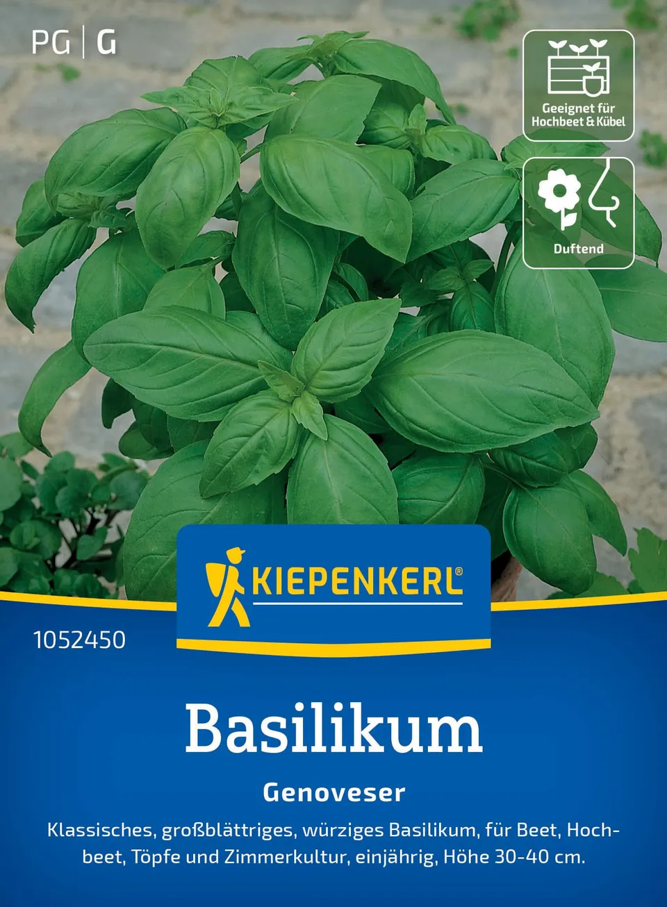 kiepenkerl-basilikum-genoveser-1052450-kr-utersamen image 1