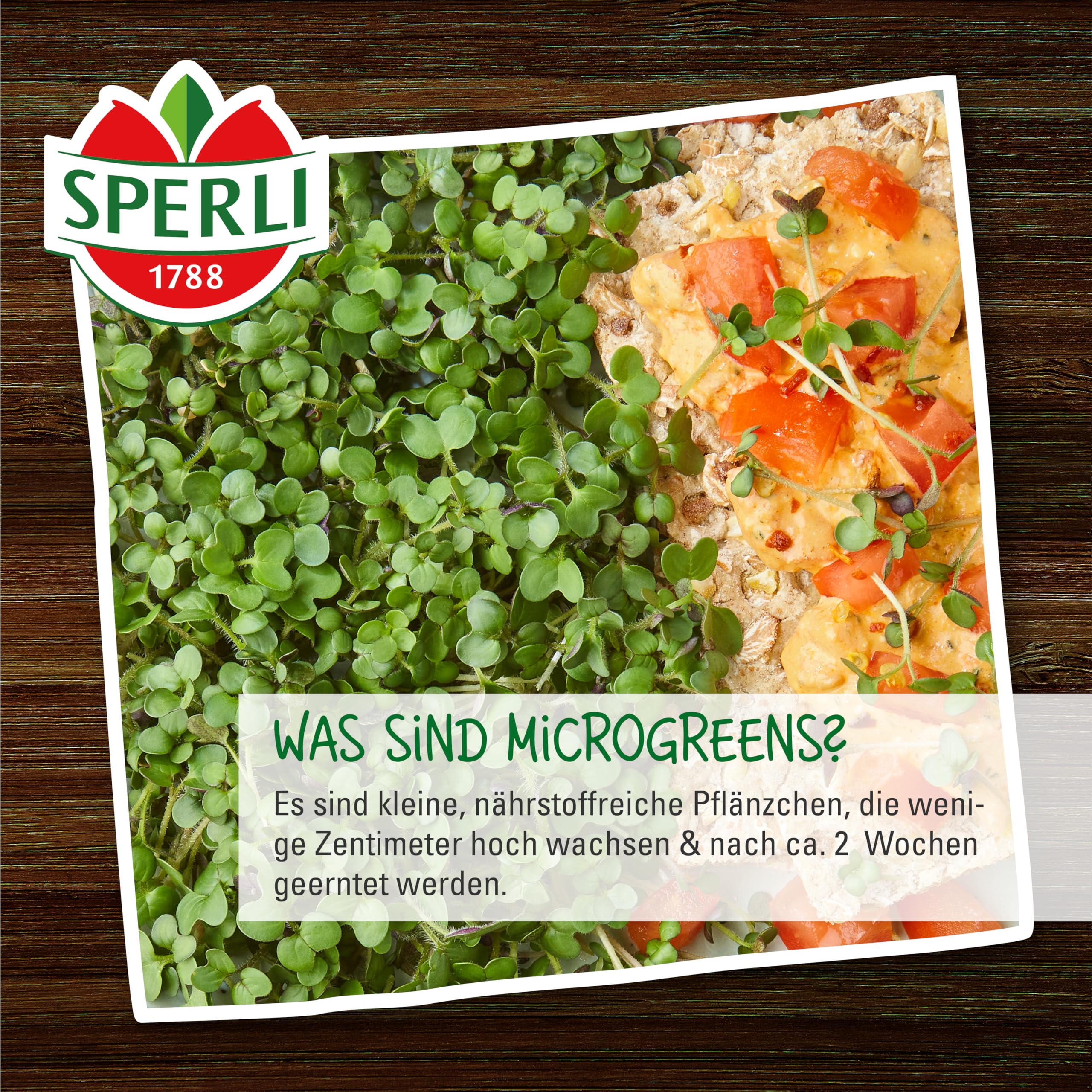 sperli-microgreen-saat-kresse-85026-keimsprossensaat image 5