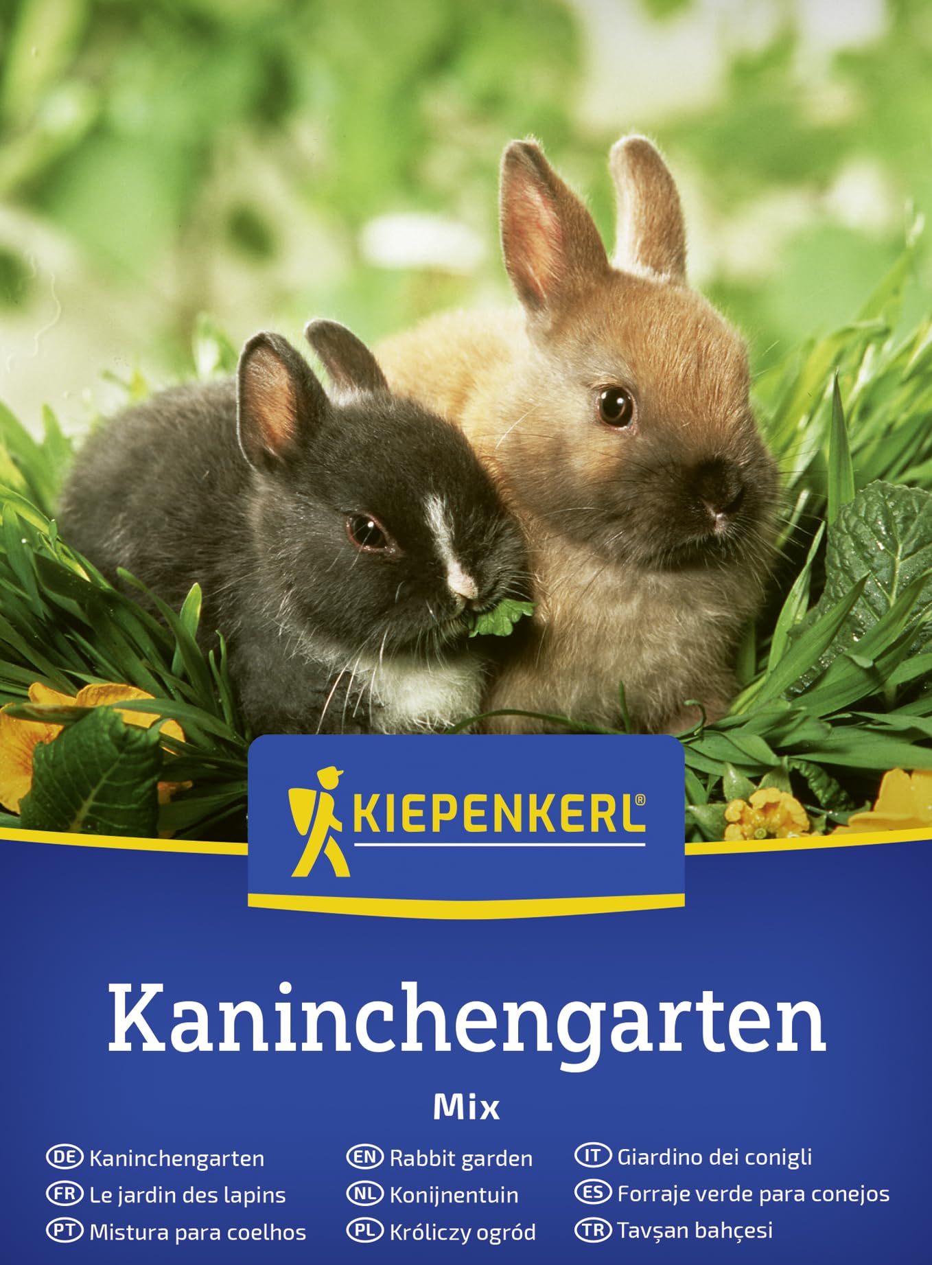 kiepenkerl-ziervogelgrassamen-frischgr-n-mischung-1073700-saatgut image 7