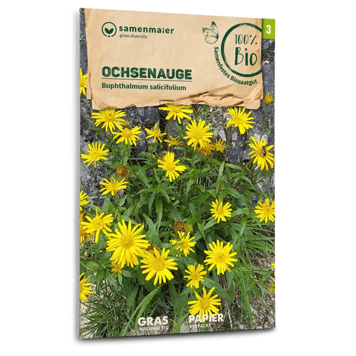 samen-maier-bio-wildblumen-ochsenauge-nektarreiche-staude image 1
