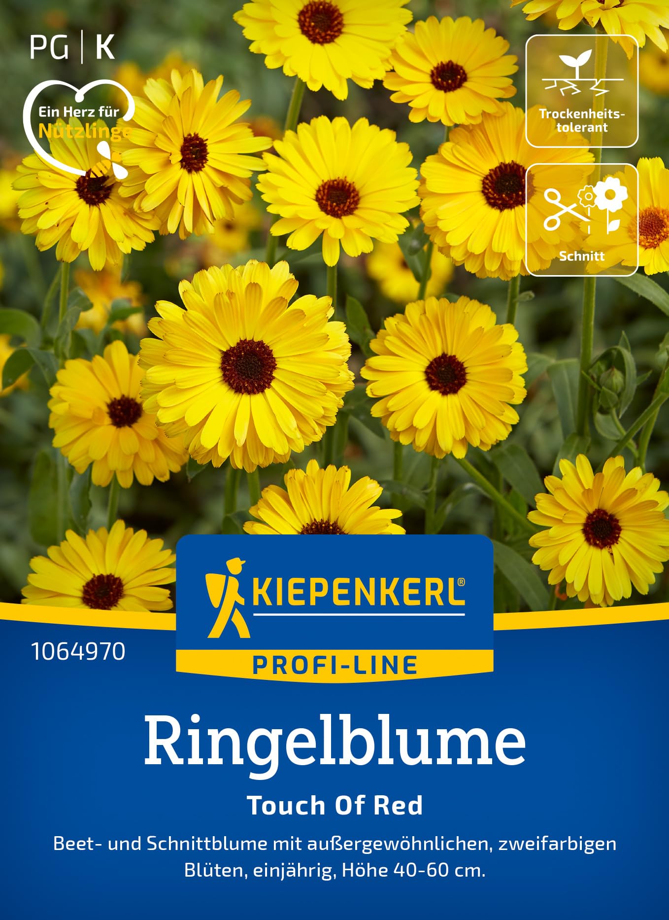 kiepenkerl-sonnenblumensamen-merida-bicolor-1066090-blumensaat image 6