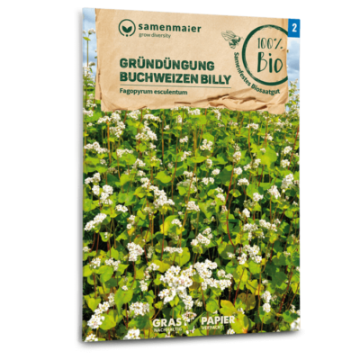 samen-maier-bio-gr-nd-ngung-buchweizen-billy-bodensamen image 3