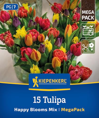 kiepenkerl-mega-pack-tulpenmischung-happy-bloom-mix-2875028-blumenzwiebeln image 8