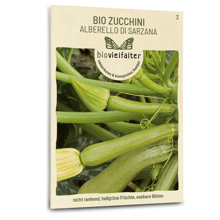 samen-maier-bio-zucchini-alberello-di-sarzana-zucchinisamen image 1