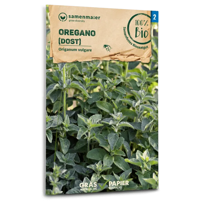 samen-maier-bio-oregano-dost-kr-utersamen-40-60-cm image 1