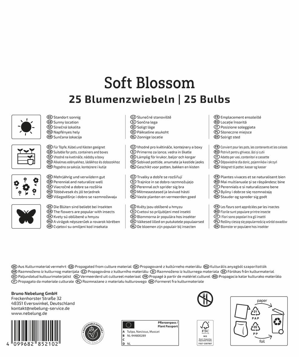 kiepenkerl-mega-pack-soft-blossom-mix-2875041-blumenzwiebelmischung image 2