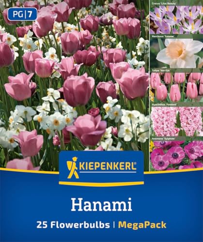 kiepenkerl-mega-pack-blumenzwiebelmischung-hanami-mix-2875049-fr-hbl-her-blumenz image 6