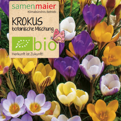 samen-maier-bio-krokus-botanische-mischung-blumenzwiebeln image 2