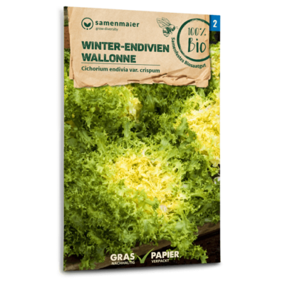 samen-maier-bio-winter-endivien-wallonne-salat-saatgut image 3