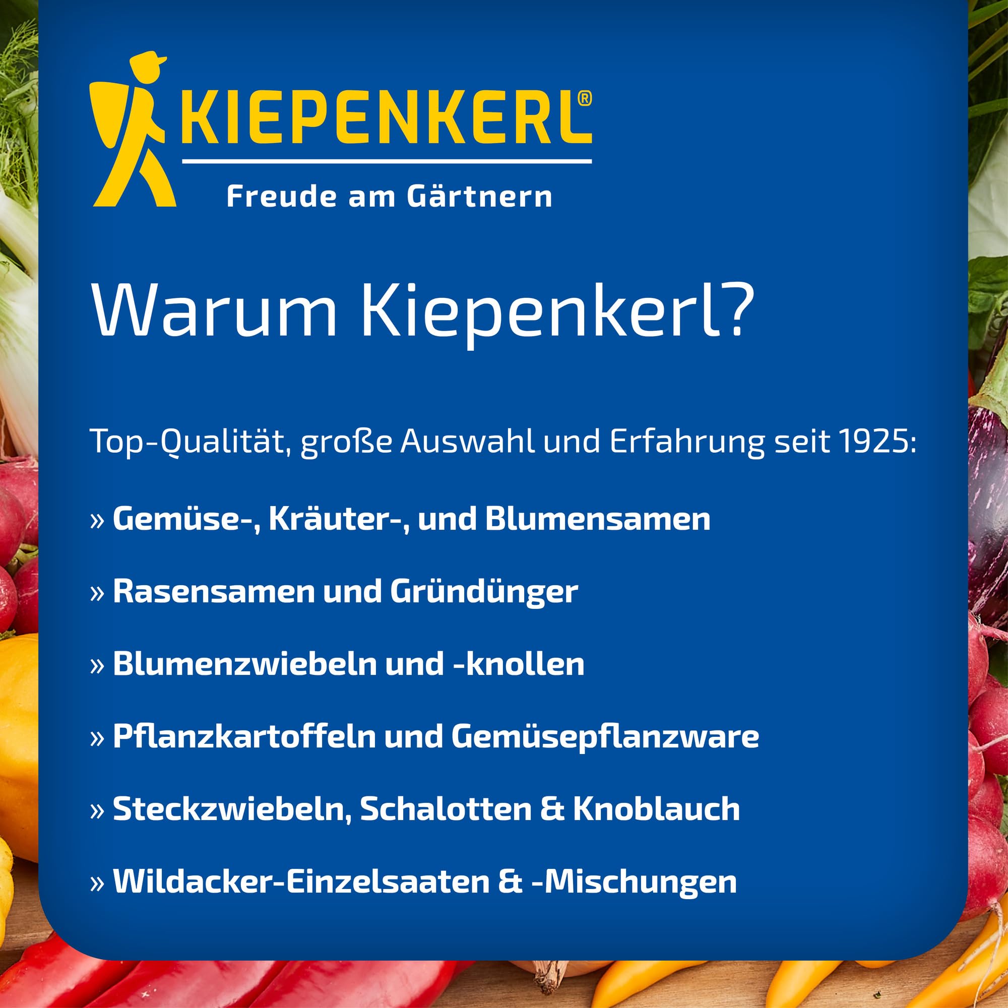 kiepenkerl-romanasalat-forellenschluss-1076440-gem-sesaat image 6