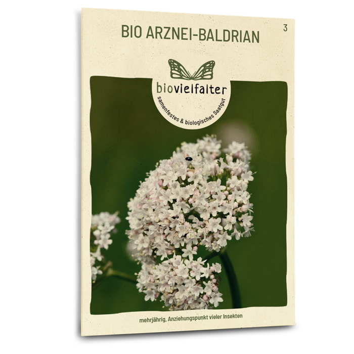 samen-maier-bio-arznei-baldrian-samen-heil-und-duftstaude image 1
