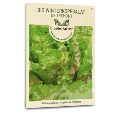 samen-maier-bio-winterkopfsalat-de-tr-mont-salat-saatgut image 3