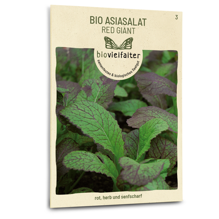 samen-maier-bio-asia-salat-red-giant-salatsamen image 1