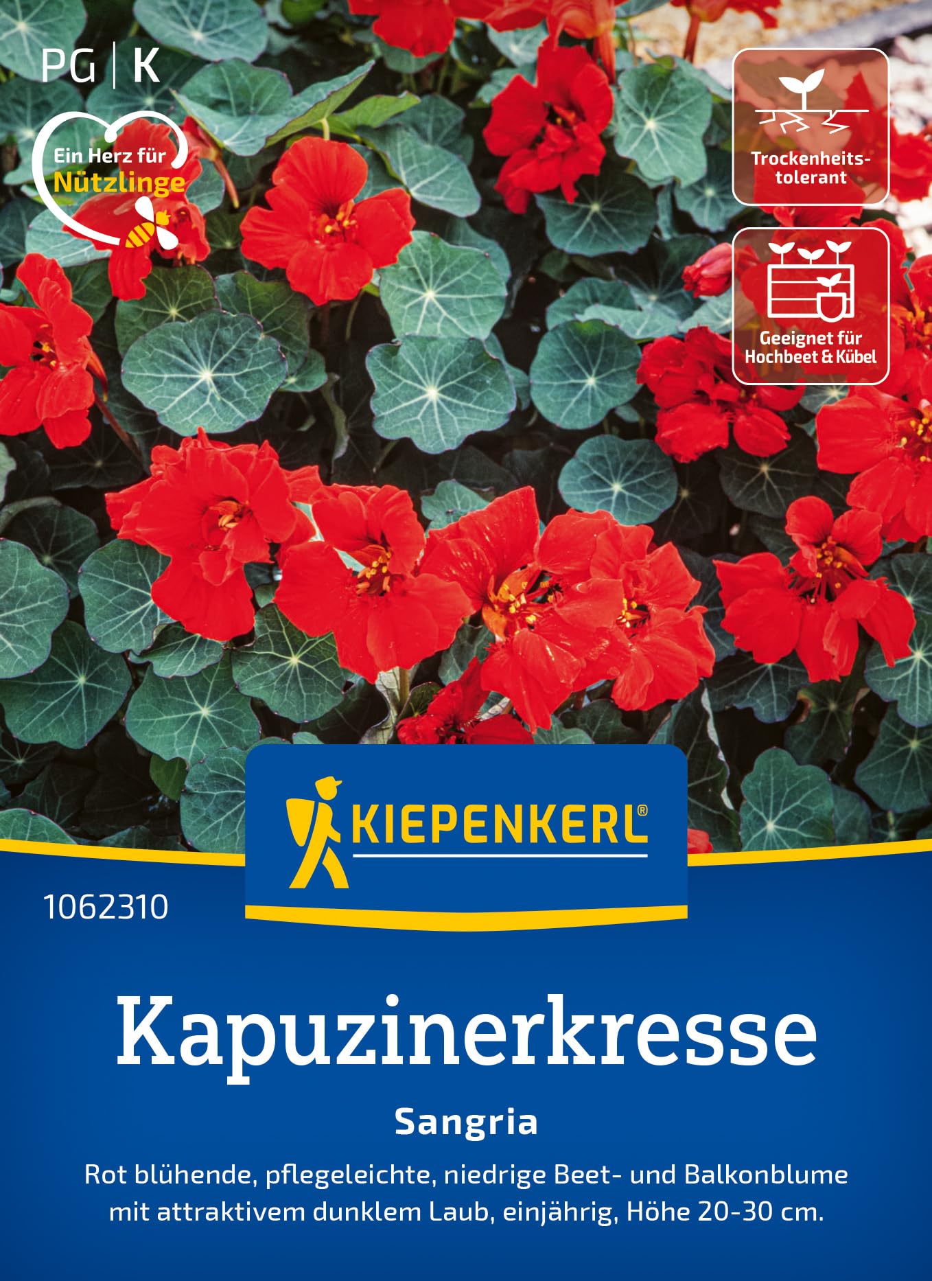 kiepenkerl-kapuzinerkresse-lady-bird-blumensaatgut image 7