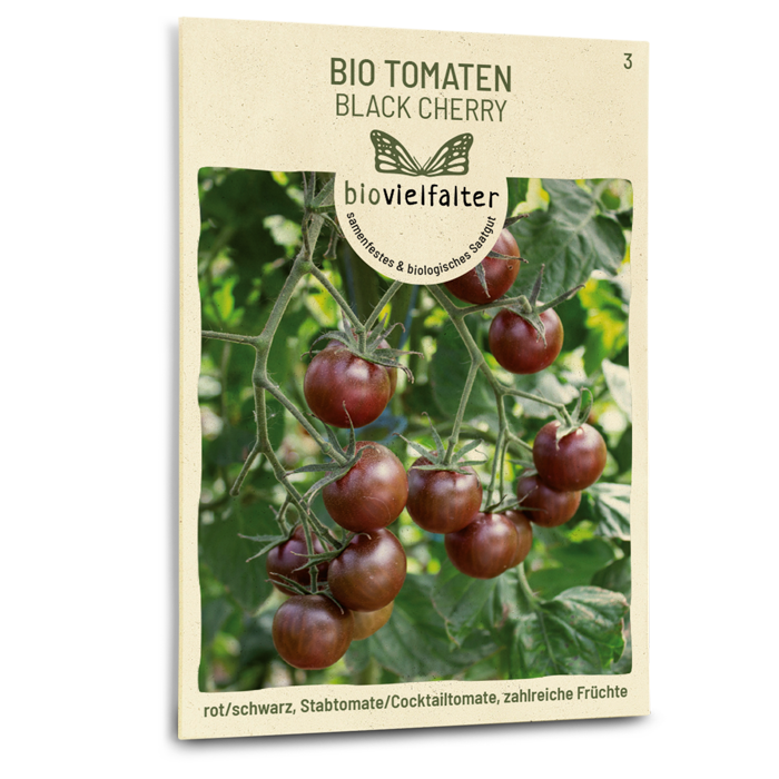 samen-maier-bio-tomaten-black-cherry-cocktailtomaten-samen image 1