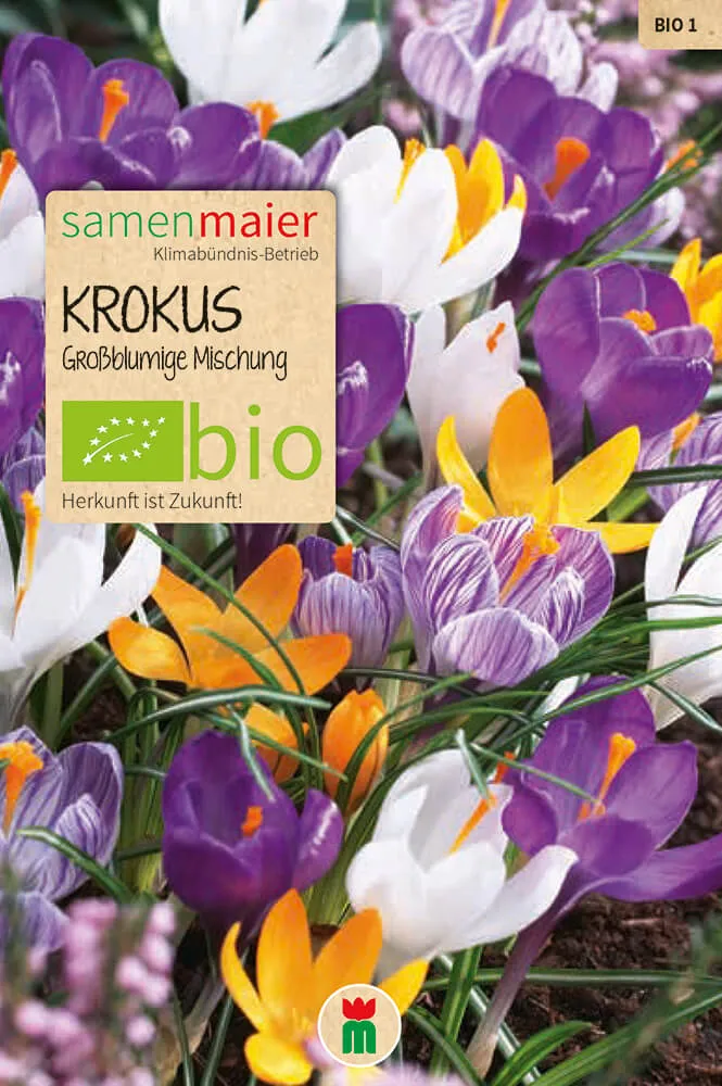 samen-maier-bio-krokus-gro-blumige-mischung-blumenzwiebeln image 1