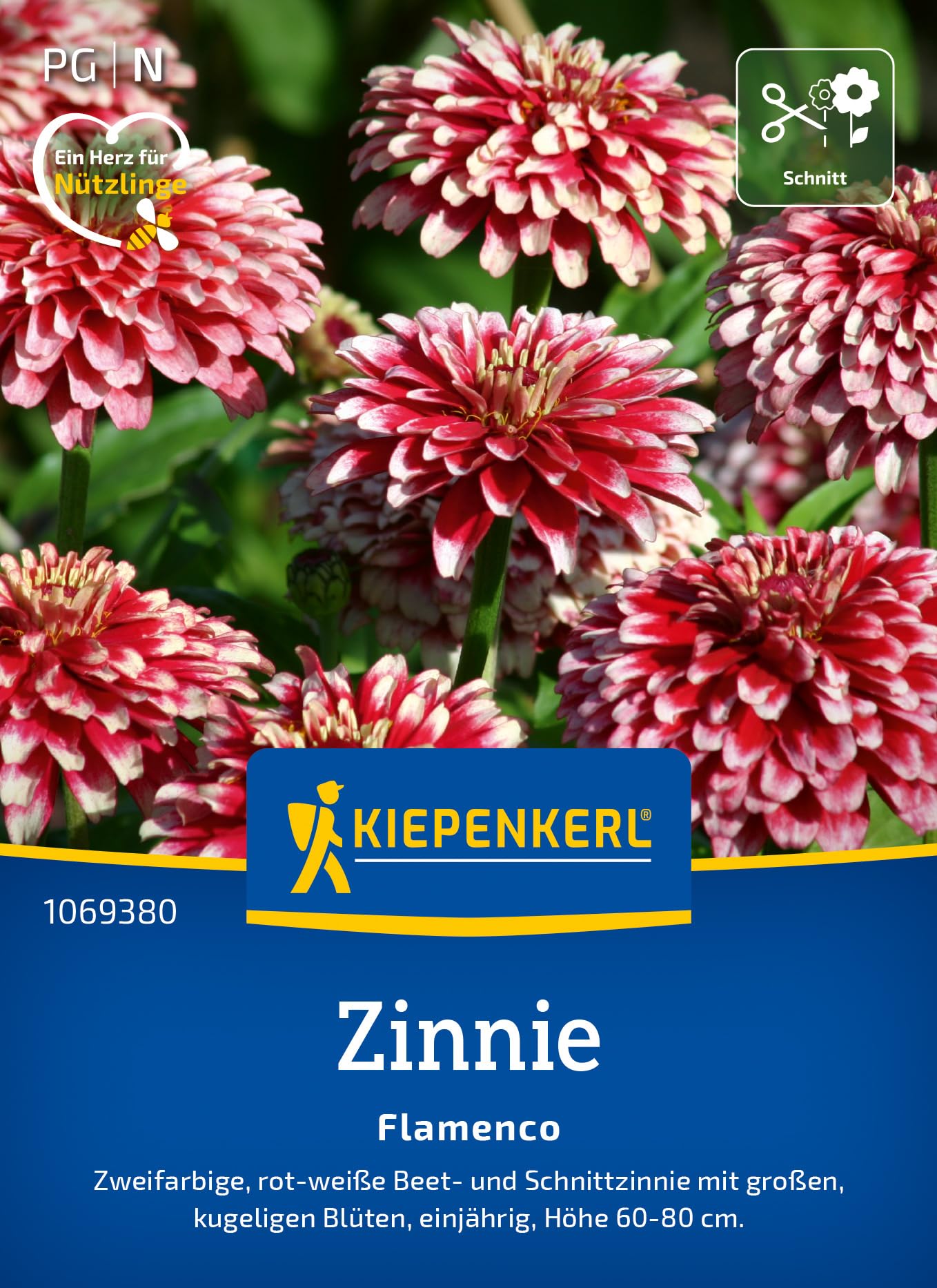 kiepenkerl-zinniensamen-profusion-mischung-blumensaat image 6
